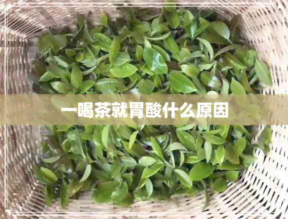 一喝茶就胃酸什么原因