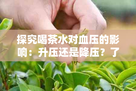 探究喝茶水对血压的影响：升压还是降压？了解各种茶类对血压的差异性