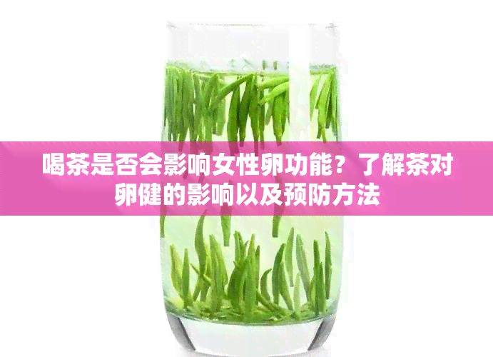 喝茶是否会影响女性卵功能？了解茶对卵健的影响以及预防方法