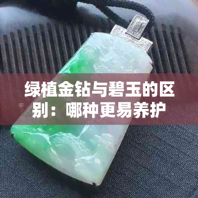 绿植金钻与碧玉的区别：哪种更易养护？