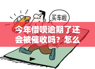 今年借呗逾期了还会被吗？怎么办？