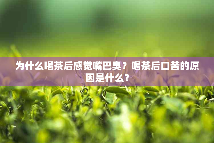 为什么喝茶后感觉嘴巴臭？喝茶后口苦的原因是什么？