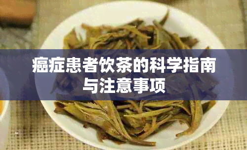 癌症患者饮茶的科学指南与注意事项