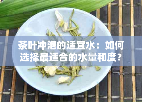 茶叶冲泡的适宜水：如何选择最适合的水量和度？