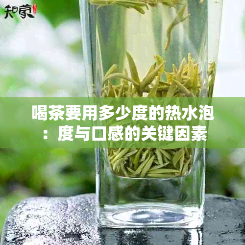 喝茶要用多少度的热水泡：度与口感的关键因素