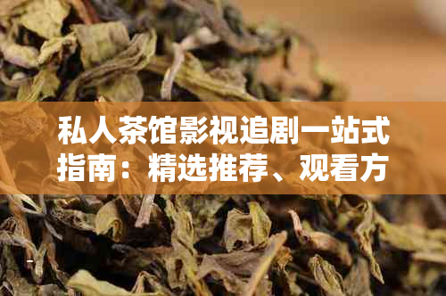 私人茶馆影视追剧一站式指南：精选推荐、观看方式和最新剧集一览无余