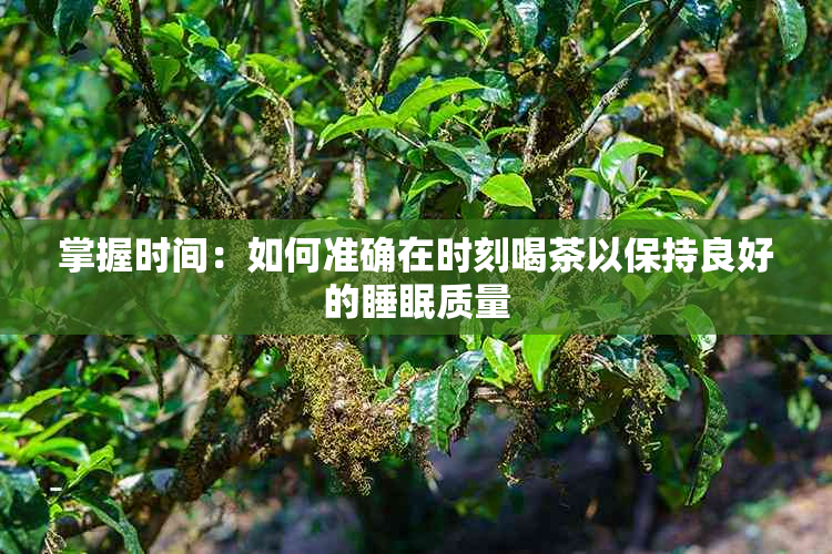 掌握时间：如何准确在时刻喝茶以保持良好的睡眠质量