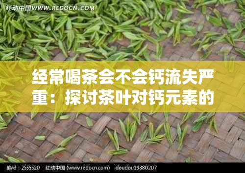 经常喝茶会不会钙流失严重：探讨茶叶对钙元素的影响