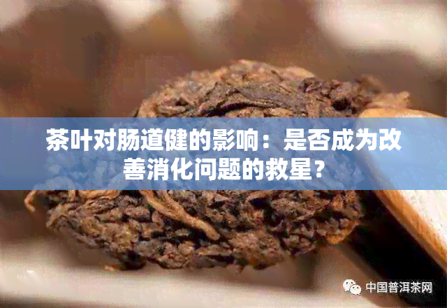 茶叶对肠道健的影响：是否成为改善消化问题的救星？