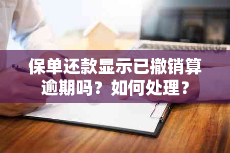 保单还款显示已撤销算逾期吗？如何处理？