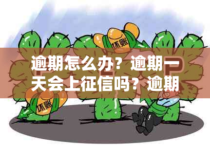 逾期怎么办？逾期一天会上吗？逾期会影响企业吗？