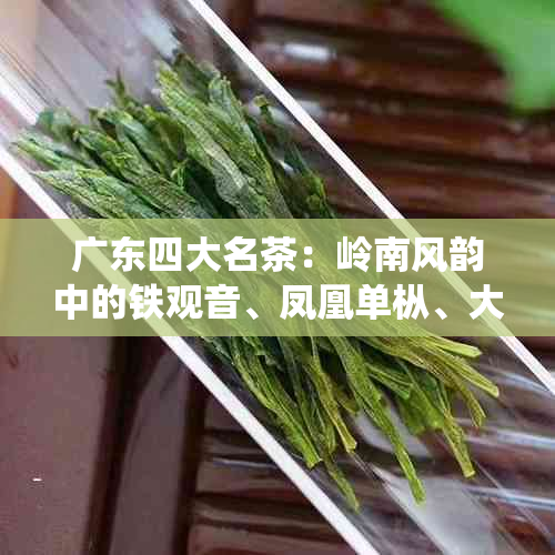 广东四大名茶：岭南风韵中的铁观音、凤凰单枞、大红袍与水仙子