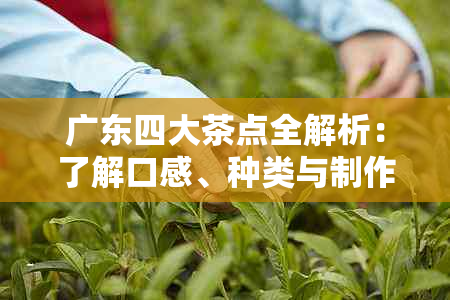 广东四大茶点全解析：了解口感、种类与制作方法，让你品茗更上一层楼