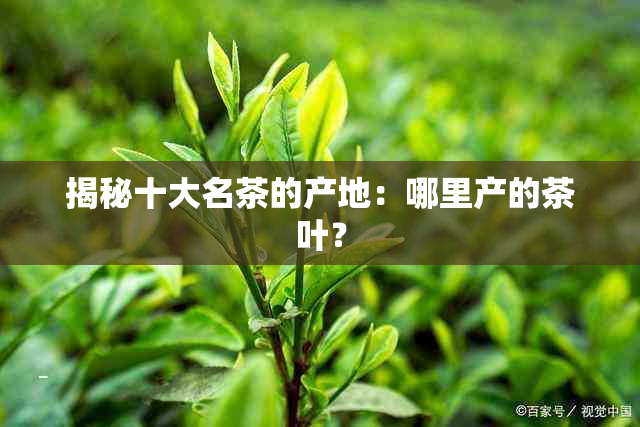 揭秘十大名茶的产地：哪里产的茶叶？