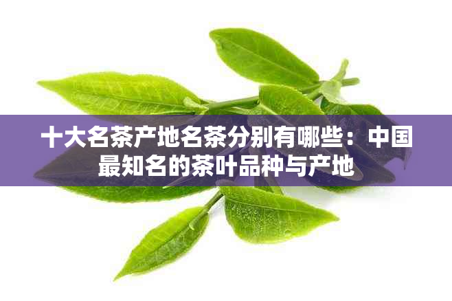 十大名茶产地名茶分别有哪些：中国最知名的茶叶品种与产地