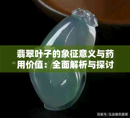 翡翠叶子的象征意义与用价值：全面解析与探讨