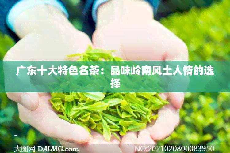 广东十大特色名茶：品味岭南风土人情的选择