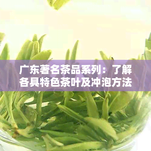 广东著名茶品系列：了解各具特色茶叶及冲泡方法，品尝地道广东茶文化