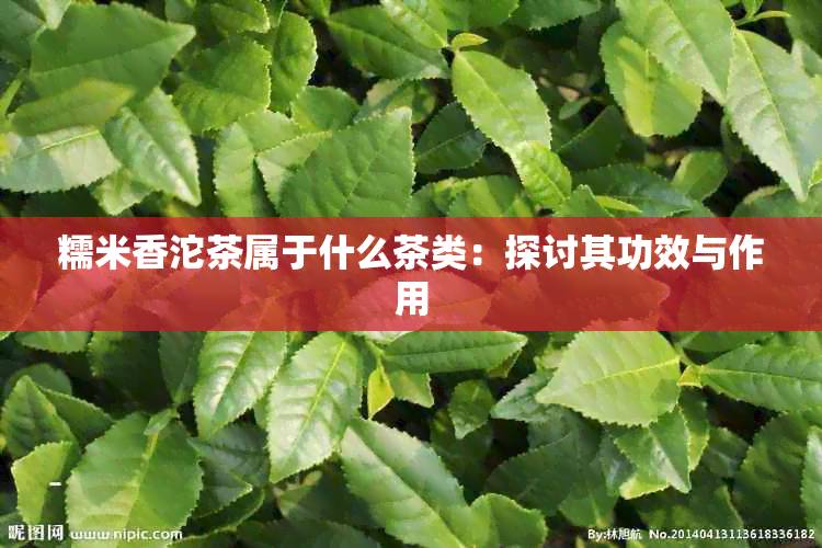 糯米香沱茶属于什么茶类：探讨其功效与作用