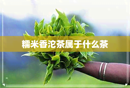 糯米香沱茶属于什么茶