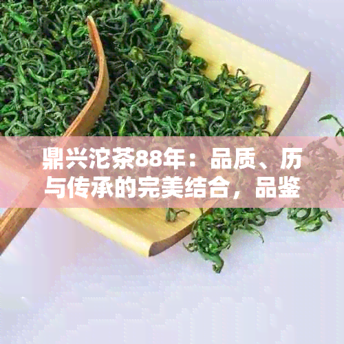 鼎兴沱茶88年：品质、历与传承的完美结合，品鉴与收藏的选择