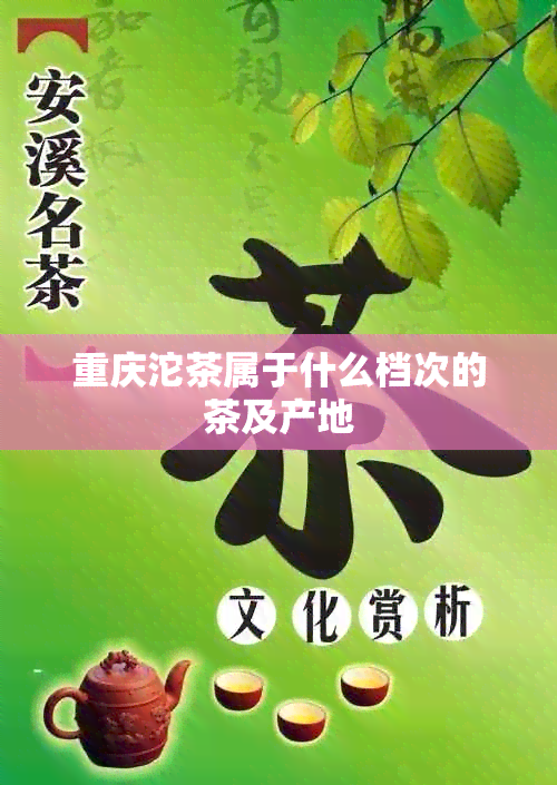 重庆沱茶属于什么档次的茶及产地