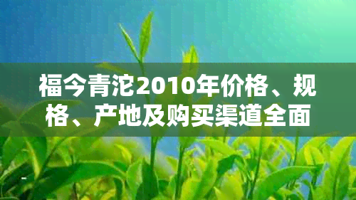 福今青沱2010年价格、规格、产地及购买渠道全面解析