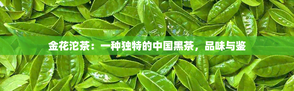 金花沱茶：一种独特的中国黑茶，品味与鉴