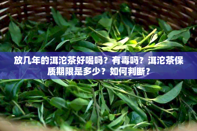 放几年的洱沱茶好喝吗？有吗？洱沱茶保质期限是多少？如何判断？