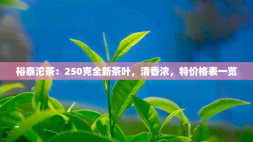 裕泰沱茶：250克全新茶叶，清香浓，特价格表一览