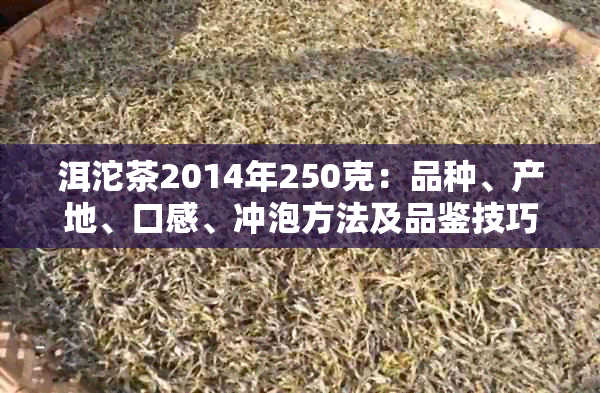 洱沱茶2014年250克：品种、产地、口感、冲泡方法及品鉴技巧一应俱全