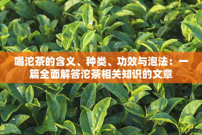 喝沱茶的含义、种类、功效与泡法：一篇全面解答沱茶相关知识的文章