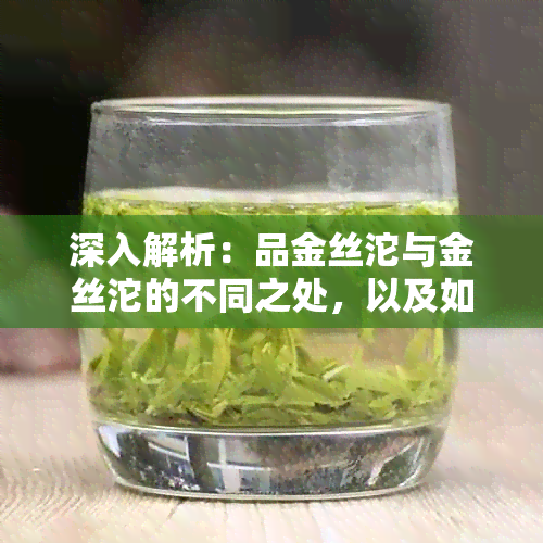 深入解析：品金丝沱与金丝沱的不同之处，以及如何选择最适合你的茶叶