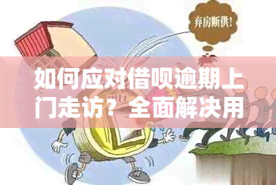 如何应对借呗逾期上门走访？全面解决用户相关问题的指南