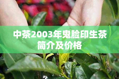 中茶2003年鬼脸印生茶简介及价格