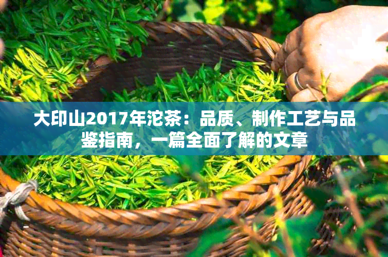 大印山2017年沱茶：品质、制作工艺与品鉴指南，一篇全面了解的文章