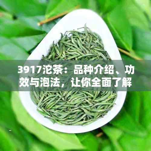 3917沱茶：品种介绍、功效与泡法，让你全面了解这种茶叶的所有信息