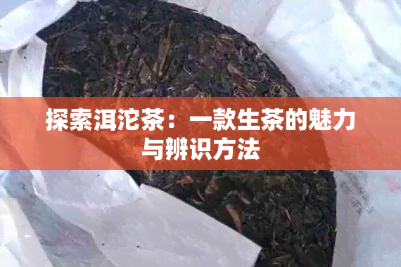 探索洱沱茶：一款生茶的魅力与辨识方法