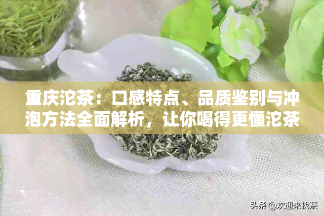 重庆沱茶：口感特点、品质鉴别与冲泡方法全面解析，让你喝得更懂沱茶！