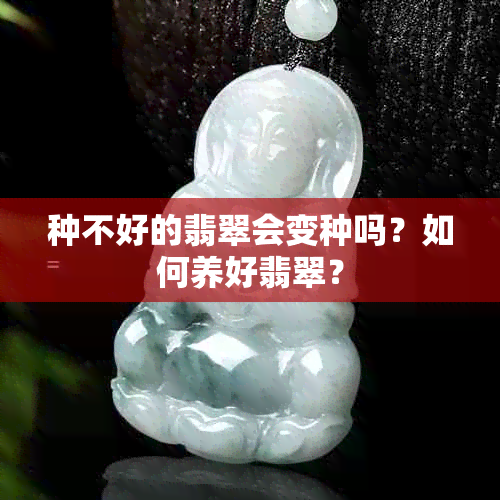 种不好的翡翠会变种吗？如何养好翡翠？