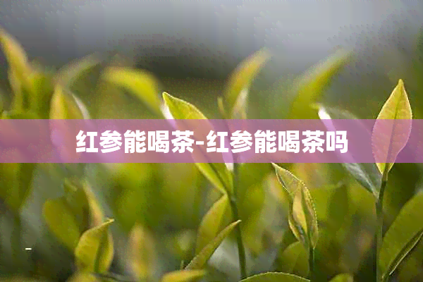 红参能喝茶-红参能喝茶吗