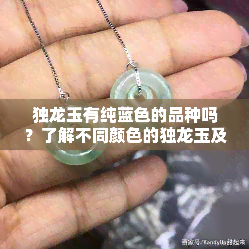 独龙玉有纯蓝色的品种吗？了解不同颜色的独龙玉及其特点