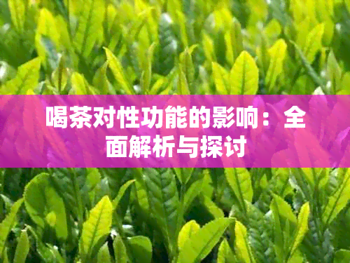 喝茶对性功能的影响：全面解析与探讨