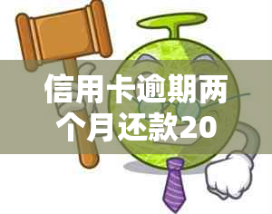 信用卡逾期两个月还款20元：详细解决方案和应对策略