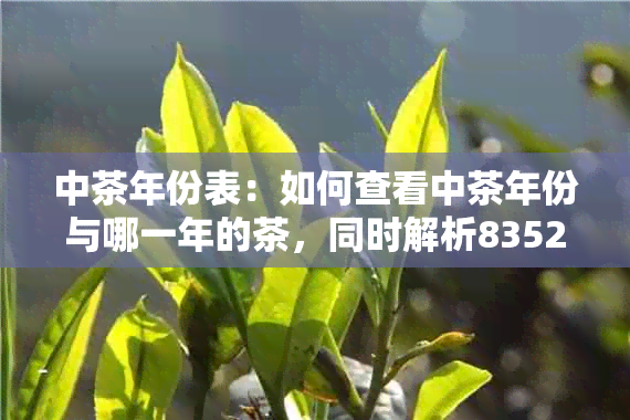 中茶年份表：如何查看中茶年份与哪一年的茶，同时解析8352年份