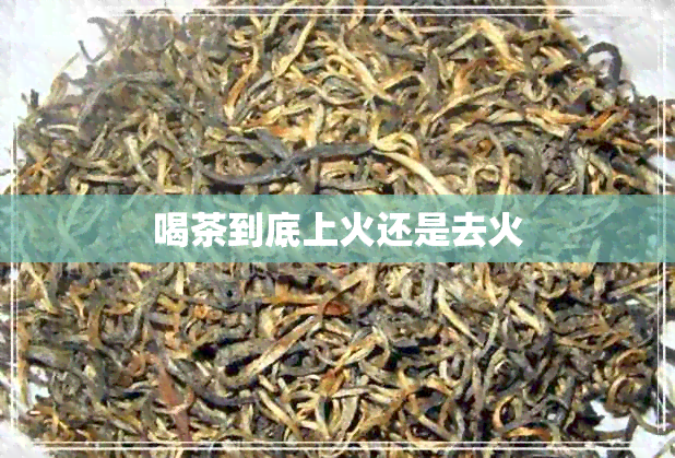 喝茶到底上火还是去火