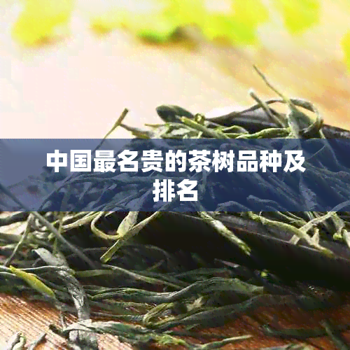 中国最名贵的茶树品种及排名