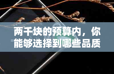 两千块的预算内，你能够选择到哪些品质上乘的翡翠手镯？