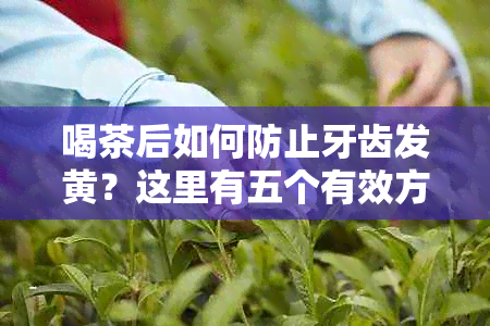 喝茶后如何防止牙齿发黄？这里有五个有效方法！