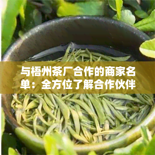 与梧州茶厂合作的商家名单：全方位了解合作伙伴，探索定制茶叶及优信息